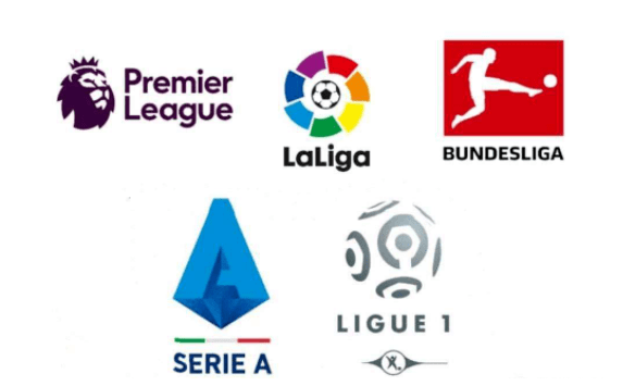 球队的整体 球队的整体